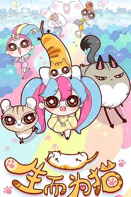 聚七seo优化搜索排名